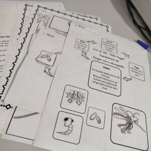 Dengue Zero: Aprender para Prevenir