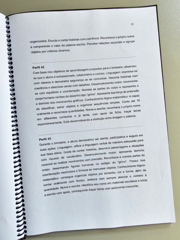 E-book Relatórios Individuais Educação Infantil - Imagem 4