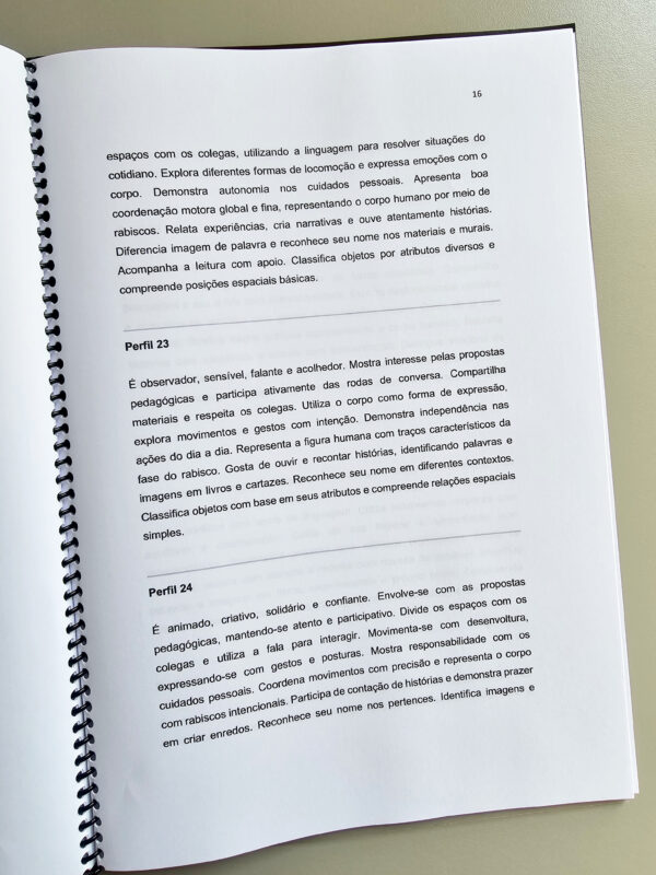 E-book Relatórios Individuais Educação Infantil - Imagem 5