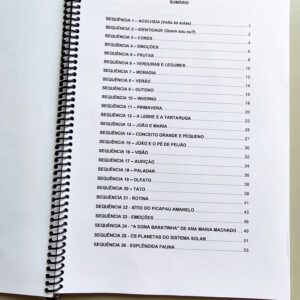 Alternative view of E-book Planos de Aula para Educação Infantil – Volume 2 (PDF)