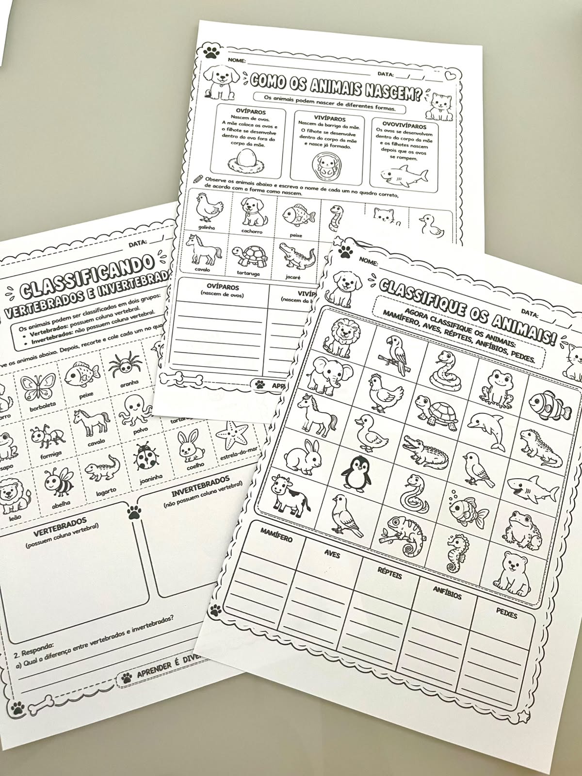 Lapbook dos 3R’s da Sustentabilidade | Meio Ambiente em PDF - Imagem 5